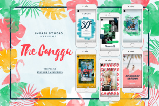 CANGGU-Tropical Instagram Stories Animated
