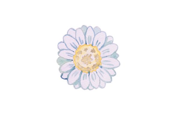 Watercolor Flower 2 Review