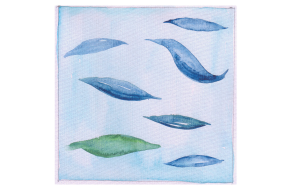 Watercolor Square Nature Abstract for Designs Amp